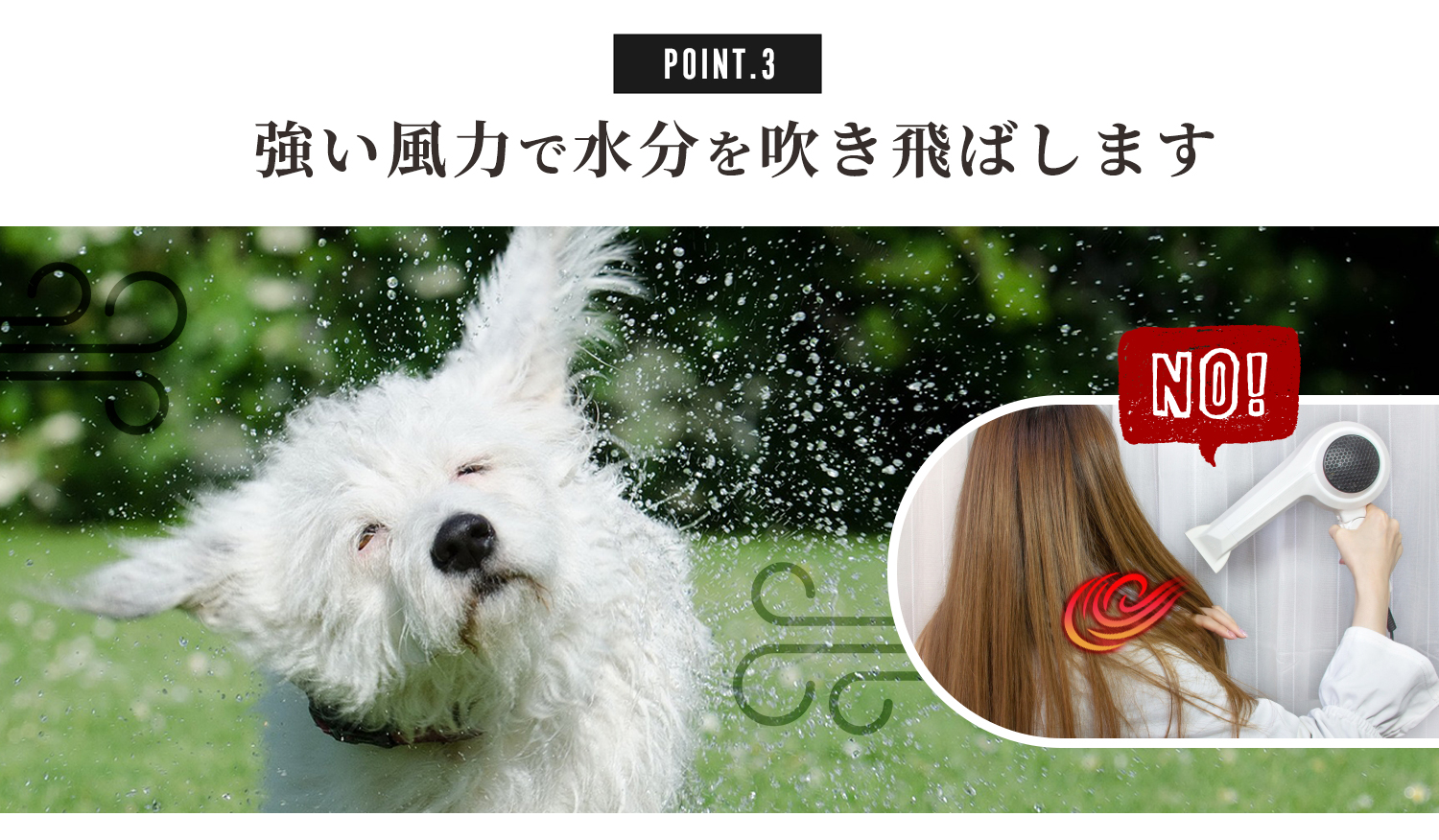 犬 ドライヤー「メガブローZ」(風量・温度無段階調節) メガブローより風が強い 業務パワー Quietスタート機能搭載 安心の日本規格 PS